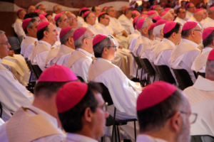 Read more about the article Brasil tem 486 bispos, diz CNBB
