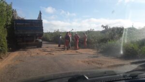 Read more about the article Programa de recuperação de estradas pernambucanas anda mais devagar do que tartaruga com pé quebrado no Pajeú