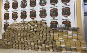 Read more about the article Polícia apreende quase meia tonelada de cocaína em cidade do Sertão de PE