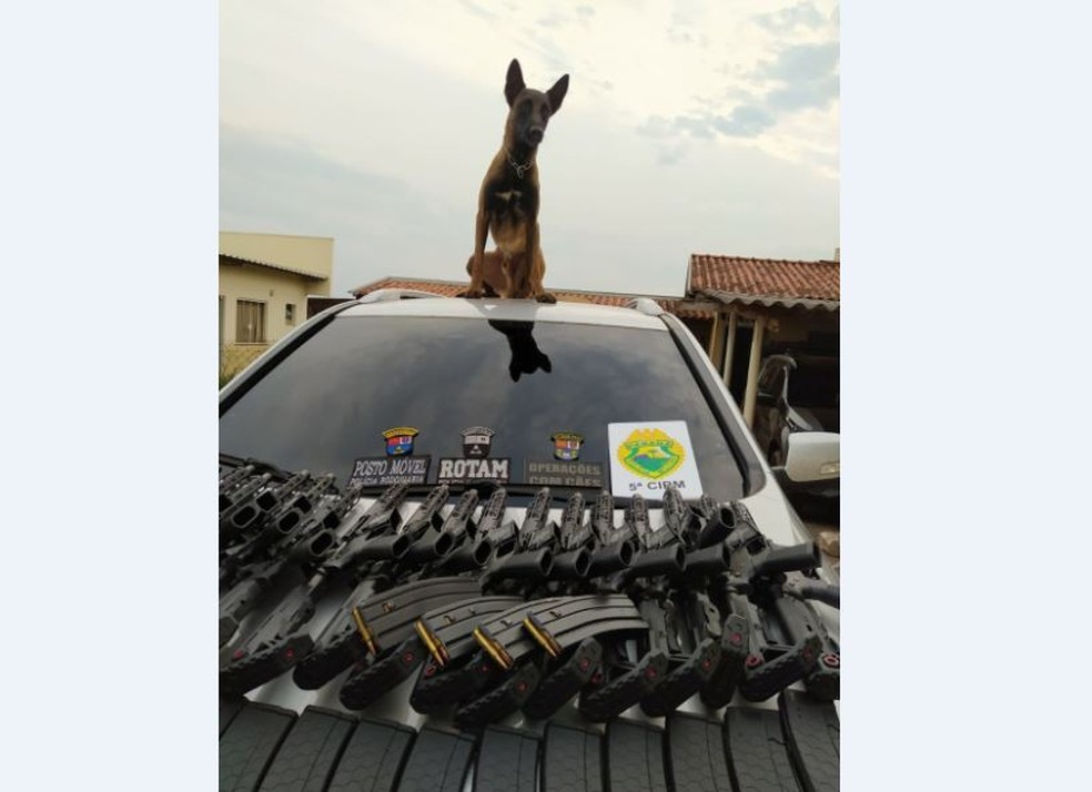 You are currently viewing Motorista é preso após cão da PM identificar 20 fuzis escondidos em fundo falso de carro, em Cianorte
