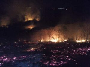 Read more about the article Altas temperaturas causam mais incêndios em áreas do Pajeú