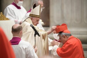 Read more about the article Papa Francisco nomeou 13 novos cardeais no sábado (28)