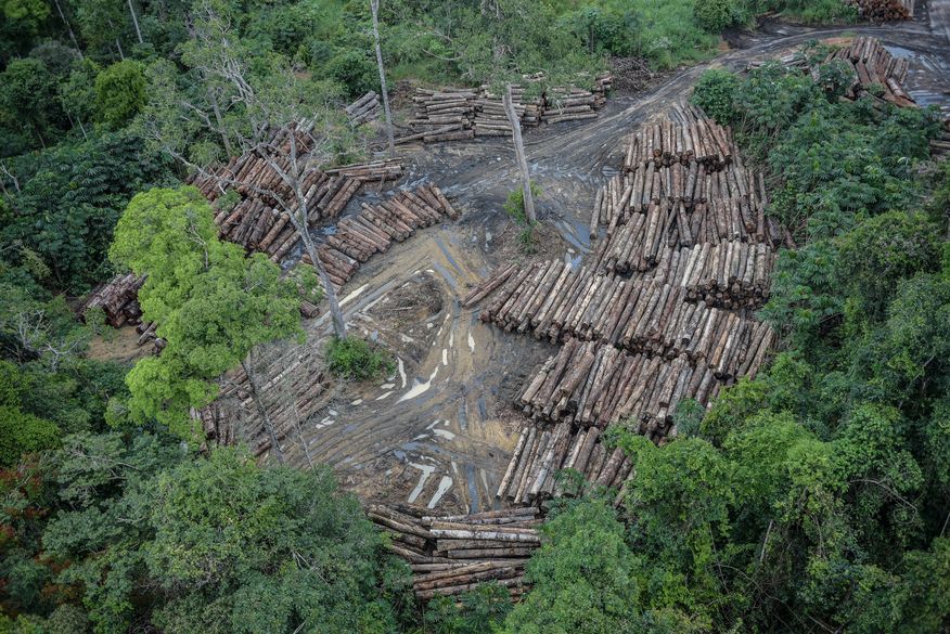 You are currently viewing Desmatamento no Brasil em 2020 é mais de 3 vezes superior à meta proposta para a Convenção do Clima