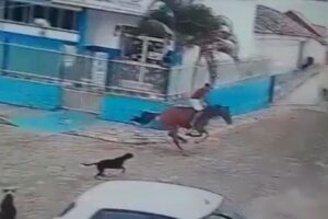 Read more about the article Homem morre após cavalo desgovernado se chocar contra muro na PB