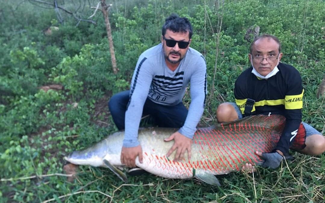 You are currently viewing Peixe de 80 quilos é pescado em açude de cidade do Cariri paraibano