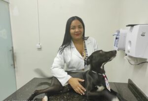 Read more about the article Cão vira-lata entra sozinho em clinica em busca de atendimento no Ceará