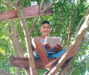 Read more about the article Estudante adapta ‘sala’ em cima de árvore para acompanhar aulas remotas, no PA: ‘construindo um sonho’