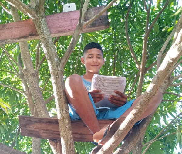 Estudante adapta ‘sala’ em cima de árvore para acompanhar aulas remotas, no PA: ‘construindo um sonho’