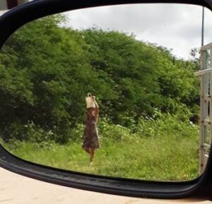 Read more about the article O fato e a foto: Mulher anda com lata de água na cabeça em “cima” da adutora do Pajeú