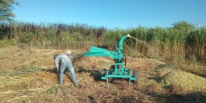 Read more about the article Prefeitura de Ouro Velho auxilia agricultor na confecção de silagem
