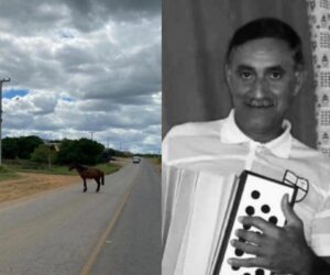 Read more about the article Sargento da PM morre após cavalo atravessar pista e atingir moto na PE 275