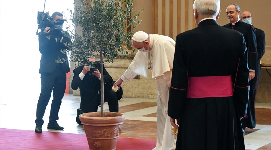 Read more about the article Francisco, o papa “verde”, leva Igreja ao centro dos debates sobre clima na COP26