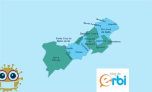 Read more about the article Santa Cruz da Baixa Verde zera casos ativos de covid e Pajeú tem 10 cidades sem pessoas doentes