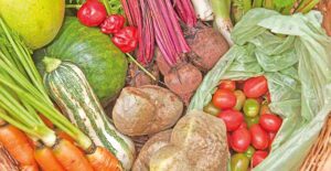 Read more about the article Prefeitura de SJE comprou R$ 270 mil da agricultura familiar e distribuiu mais de 400 mil refeições pela Cozinha Comunitária em 2021
