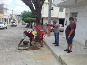 Read more about the article Prefeitura de SJE troca tambores por cestões para facilitar coleta de lixo e evitar acumulo