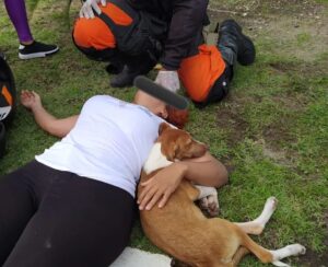 Read more about the article Mulher cai de moto ao desviar de cão que atravessava avenida e animal fica ao lado dela durante primeiros socorros dos bombeiros