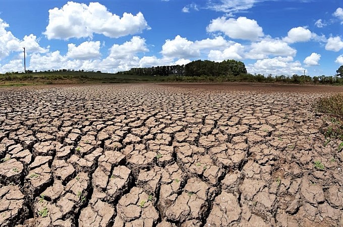 Read more about the article Oito dos nove estados do Nordeste têm municípios em emergência por causa da seca ou estiagem