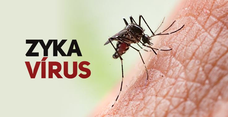 You are currently viewing Novo surto de Zika vírus pode estar bem próximo de acontecer