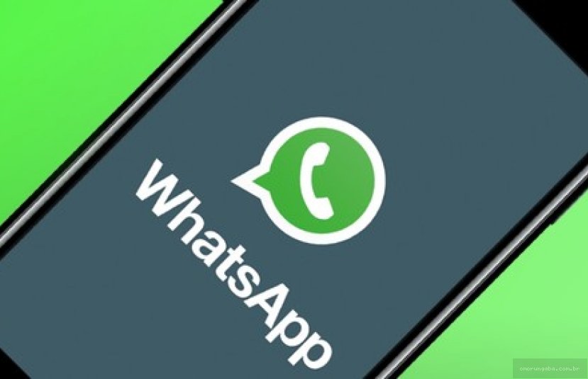 WhatsApp vai deixar você esconder que está ‘online’; veja como fazer
