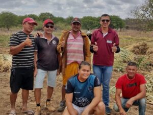 Read more about the article Prefeitura de Itapetim distribuiu 22 mil manivas de capim para agricultores