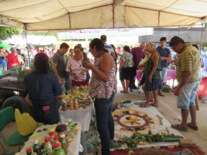Read more about the article Vila de Fátima em Brejinho realiza VI Feira de Saberes, Sementes e Sabores de 1 a 4 de dezembro