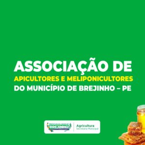 Read more about the article Associação de Apicultores de Brejinho é contemplada com financiamento de projeto pela ADEPE