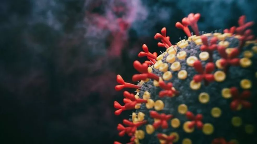 Read more about the article Covid: PE confirma primeiro caso de nova subvariante da ômicron