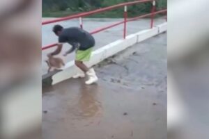 Read more about the article Homem é preso após arremessar cachorro em correnteza de rio em Afogados da Ingazeira