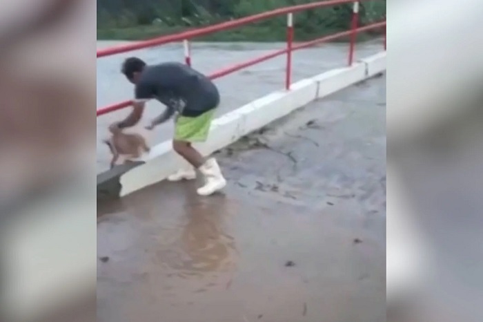 You are currently viewing Homem é preso após arremessar cachorro em correnteza de rio em Afogados da Ingazeira