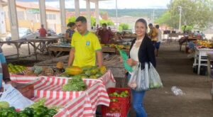 Read more about the article Prefeitura de Brejinho realizou cadastramento de feirantes
