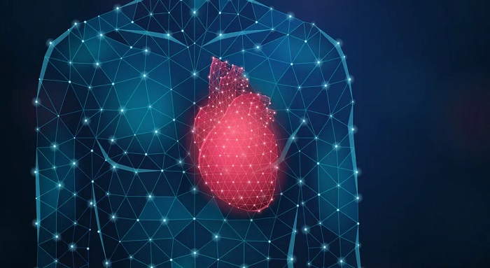 Read more about the article Ferramenta criada na UFPB usa inteligência artificial para identificar insuficiência cardíaca pela voz