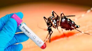 Read more about the article Secretaria de Saúde confirma primeira morte por dengue na Paraíba