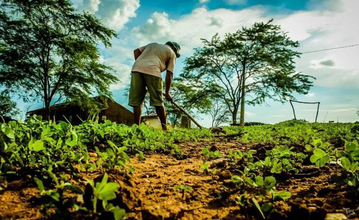 Read more about the article São José do Egito tem mais de mil agricultores contemplados com pagamento do garantia safra 22/23