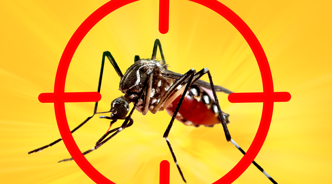 Read more about the article Homem de Tuparetama, é primeira vítima fatal da dengue em 2024 no Estado