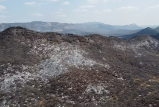 Read more about the article Incêndio já consumiu 40% da vegetação nativa em serra de São José do Bonfim