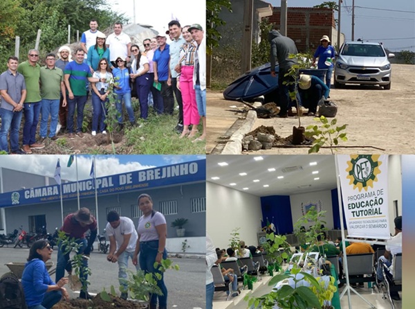 Read more about the article Brejinho desenvolve projeto de arborização em parceria com a UFCG