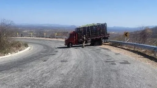 Read more about the article Motor de caminhão desliga e quase causa acidente, na Serra do Teixeira