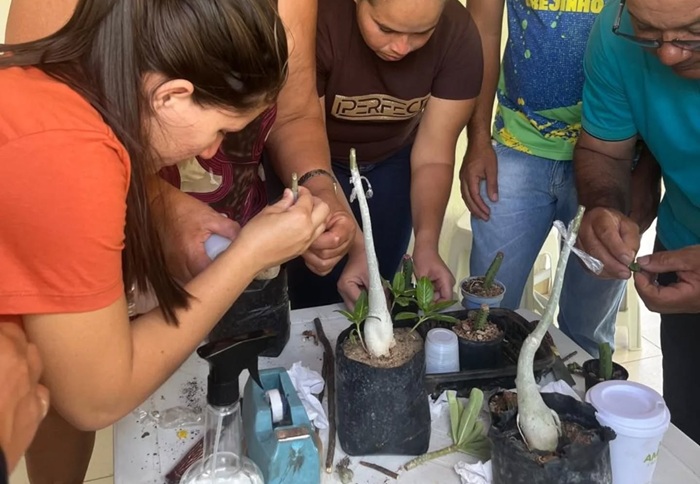 Read more about the article Prefeitura de Brejinho realizou curso de enxertia de frutíferas