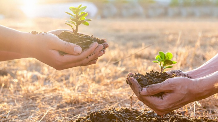 Read more about the article Secretaria de meio Ambiente terá crédito especial de R$ 32 mil para ações ambientais