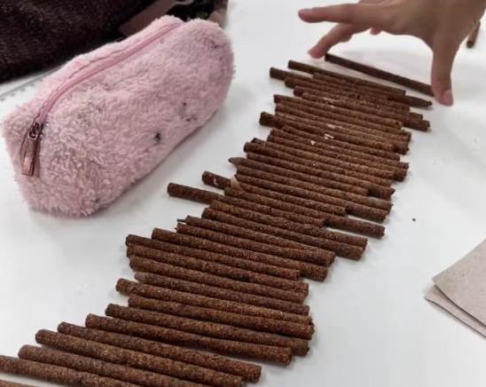 Read more about the article Estudantes da rede estadual criam lápis sustentáveis que viram plantas em Pernambuco