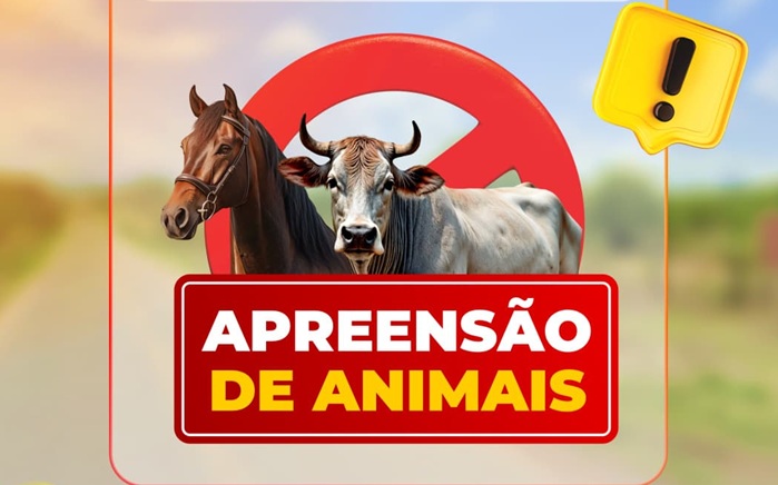 Read more about the article Prefeito de Tabira sanciona lei que regulamenta apreensão e destinação de animais soltos nas vias públicas