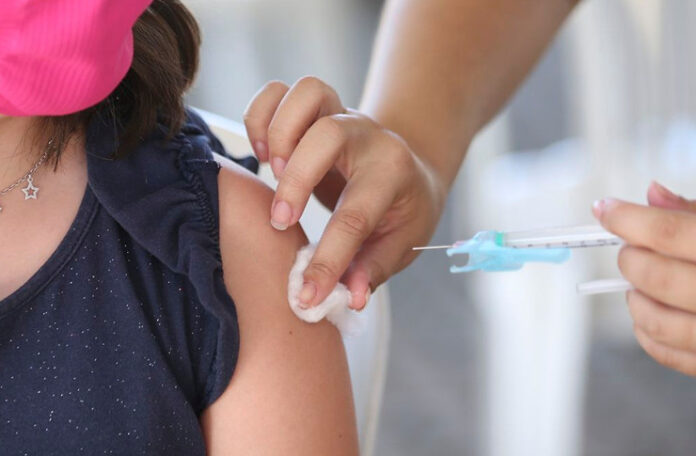 Read more about the article Ministério da Saúde alerta que vacina contra gripe evita casos graves e hospitalização