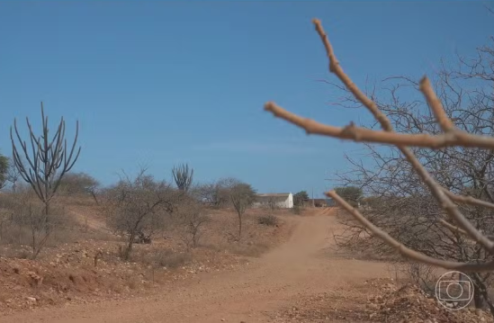 Read more about the article Pernambuco tem 107 cidades em situação de emergência devido à escassez de chuvas