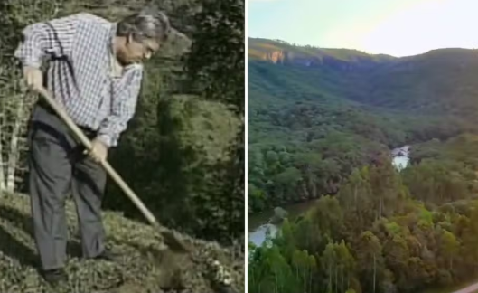 Read more about the article Empresário do Paraná plantou 400 mil árvores