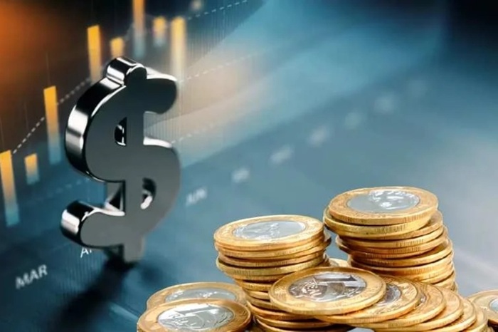 Read more about the article Plataforma do governo permitir consulta ao cashback da reforma tributária