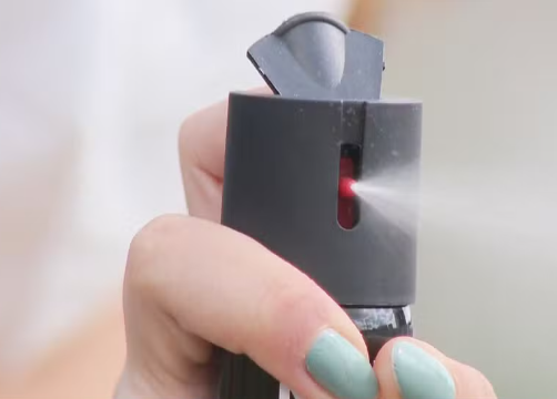 Read more about the article Câmara aprova projeto que libera spray de pimenta para autodefesa de mulheres