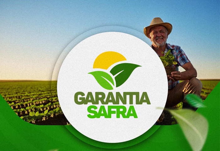 Read more about the article 1.500 agricultores de Itapetim tem direito ao Garantia Safra 24/25