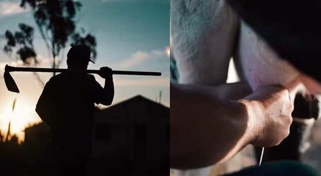 Leia mais sobre o artigo São José do Egito está entre os 10 municípios de Pernambuco com boas práticas de gestão