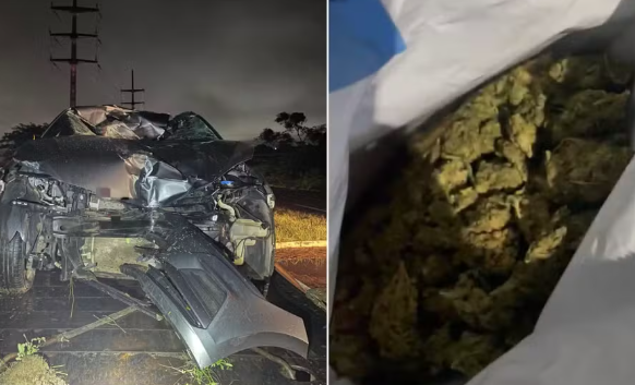 Leia mais sobre o artigo PRF apreende 4 kg de skunk após seguir rastro de sangue na BR-424, em Arcoverde