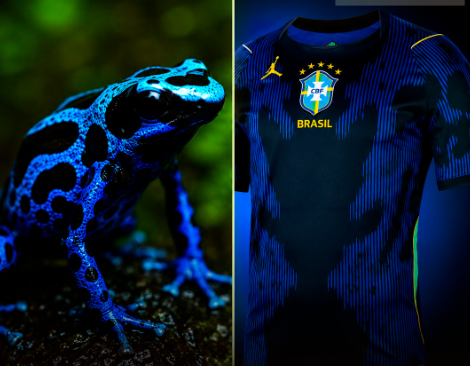 Leia mais sobre o artigo Uniforme azul do Brasil tem sapo-flecha estampado na camisa